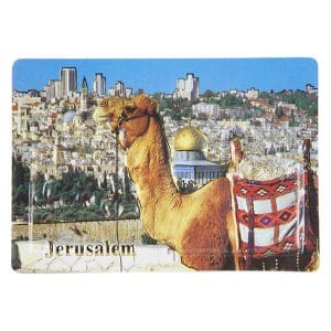Jerusalem with Camel 3D